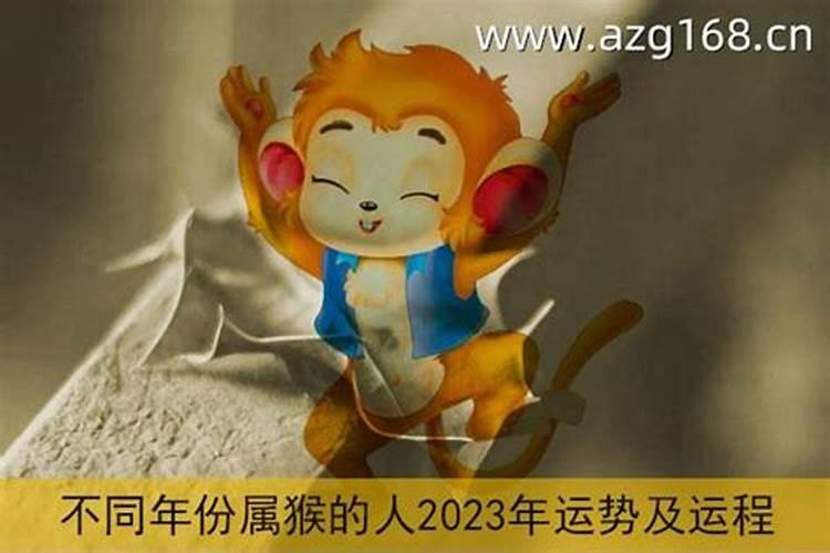 92年属猴2024年运势及运程每月运程