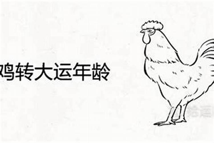 1981属鸡一生劫数