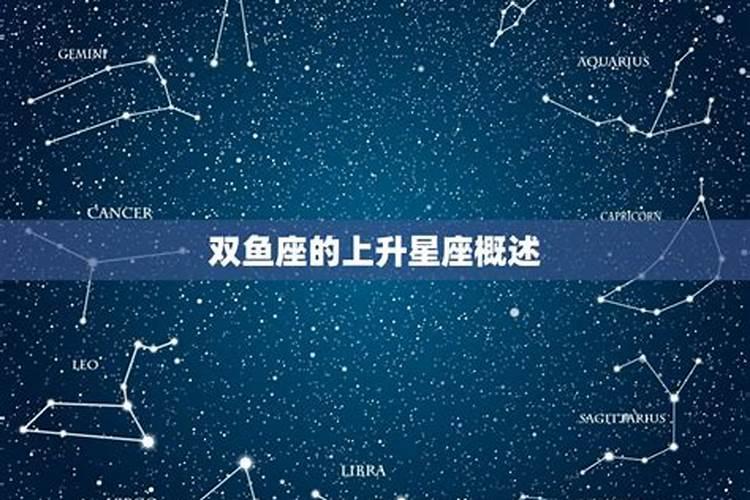 上升星座双鱼的明星