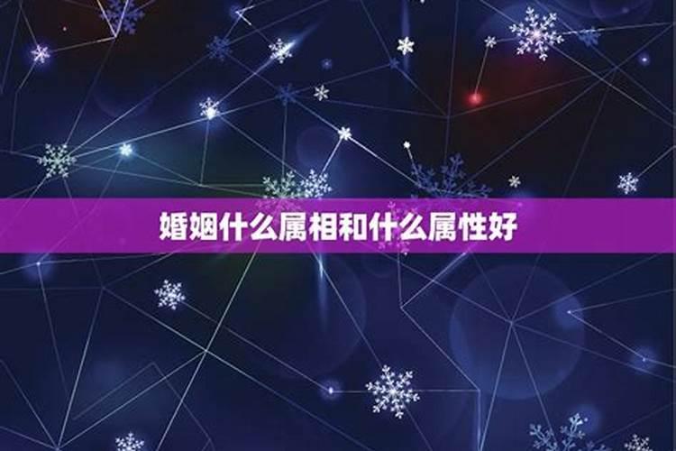 今日属马财神方位在哪个方位