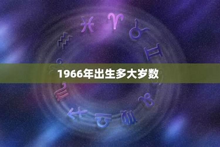 1966年出生的今年多大属什么