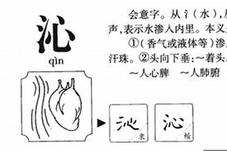 沁字的五行属性性格