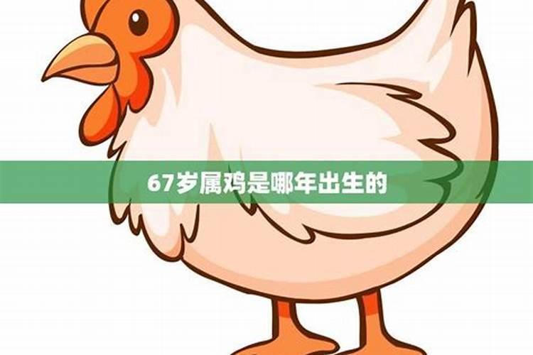 67岁属鸡哪年出生的