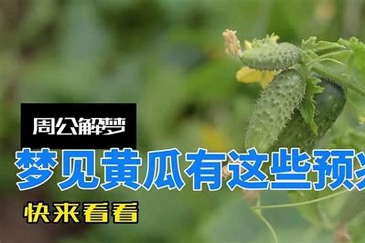 梦见一大堆粮食怎么回事