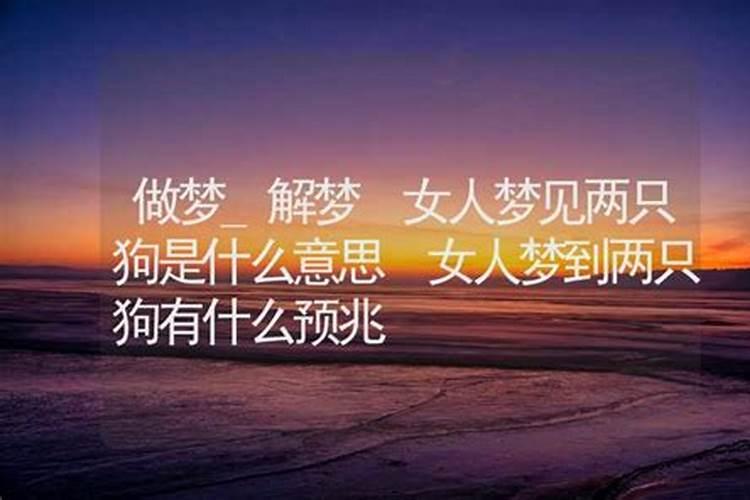 梦见两只狗周公解梦