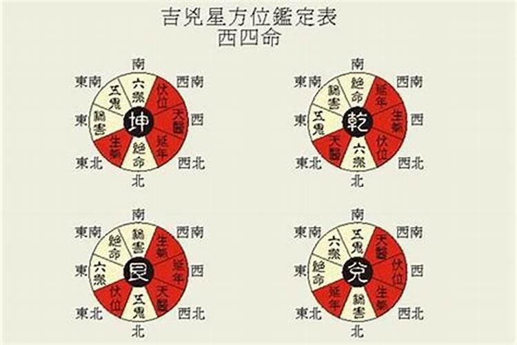 水风是什么生肖