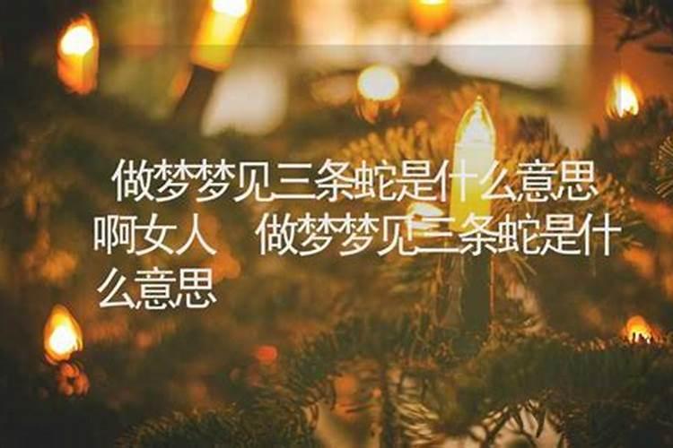 梦到三条蛇是什么意思啊