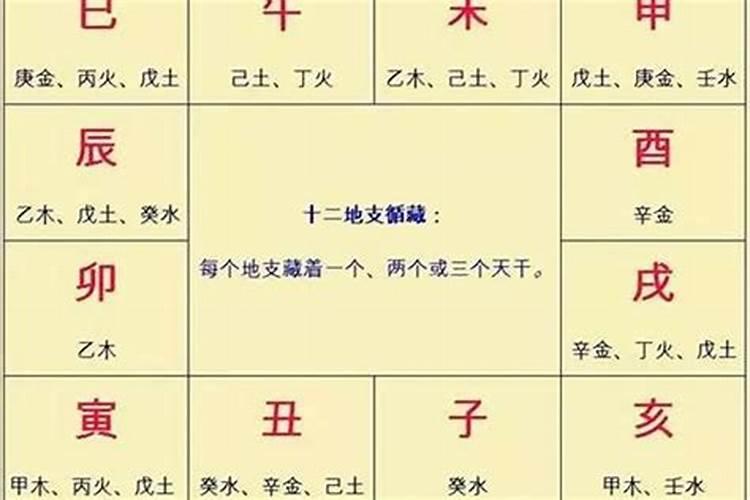 八字中的意思代表什么