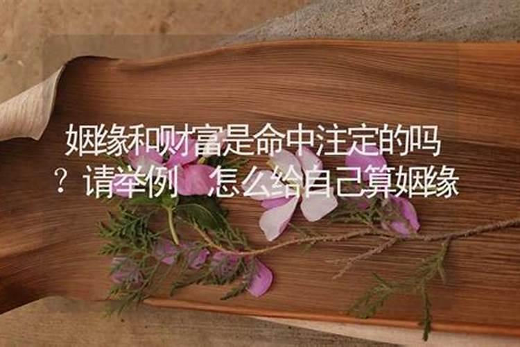 梦到已死了的人又死了什么预兆