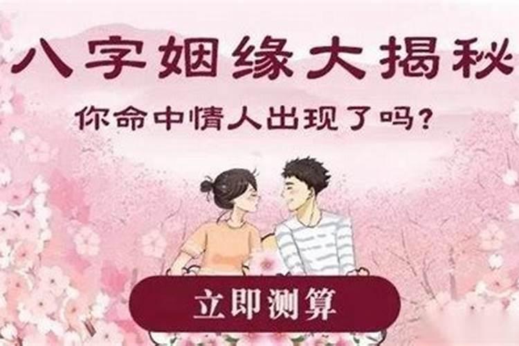 属兔兔最佳婚配