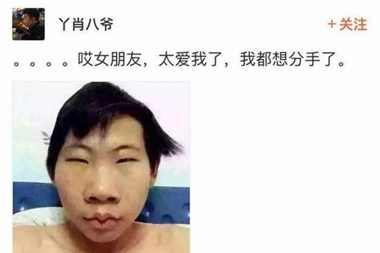 长得丑的是什么生肖