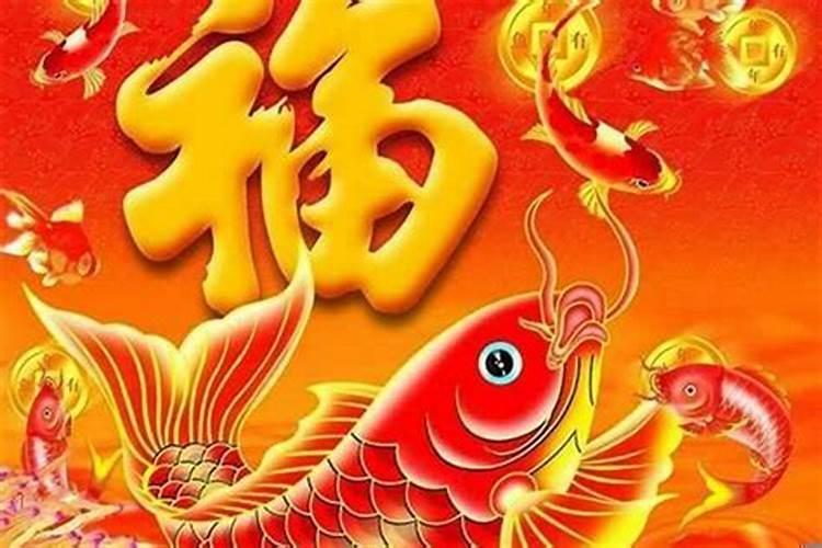 属羊的今年命怎么样