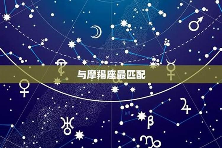 金牛和什么星座是最好的朋友