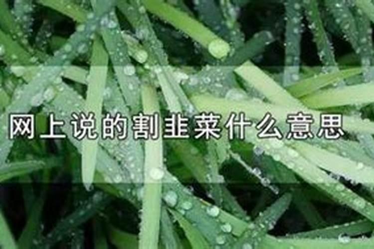 做梦梦见偷韭菜是什么意思啊