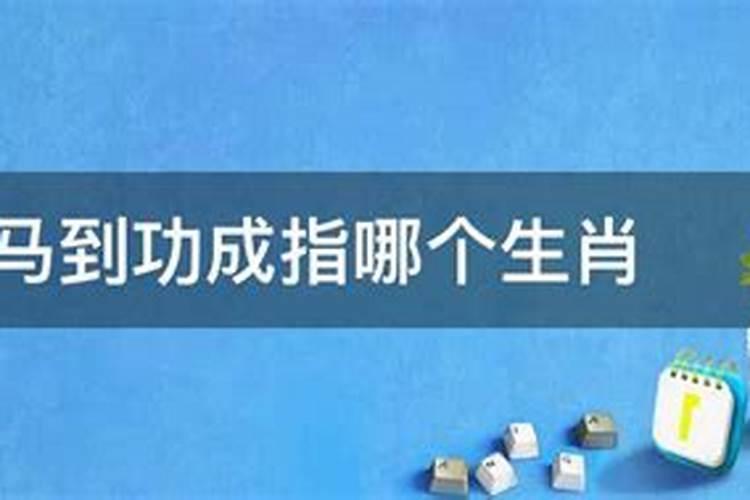 马到功成最佳生肖是哪一个生肖