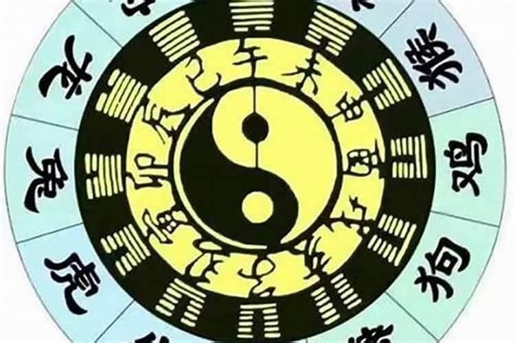 为什么每天晚上做梦到天亮