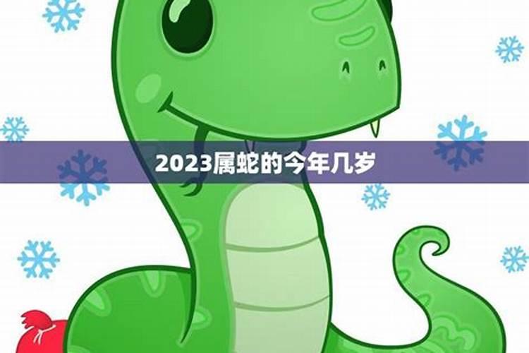 2021年属蛇虚岁多少