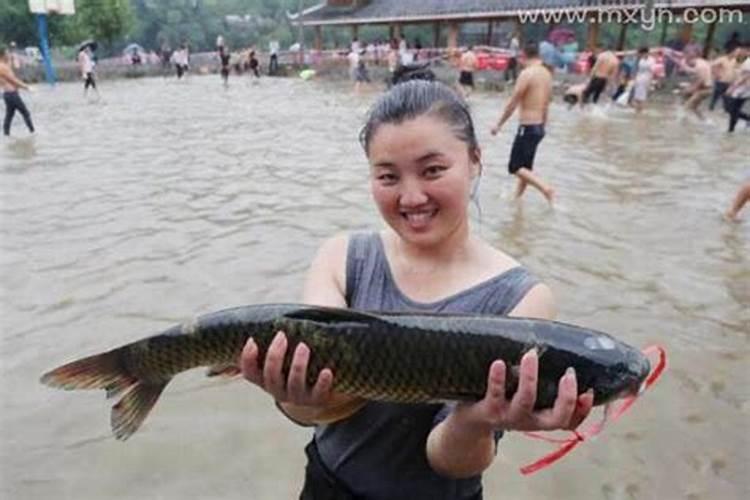 女人梦见水里好多大鱼小鱼自己捉鱼