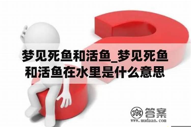 女人梦到活鱼和死鱼自己抓到鱼