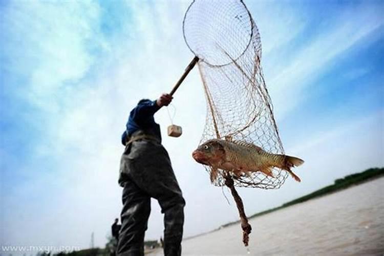 梦见在死水里捞鱼