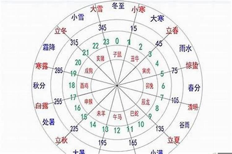 鸟的五行属性是什么意思呢