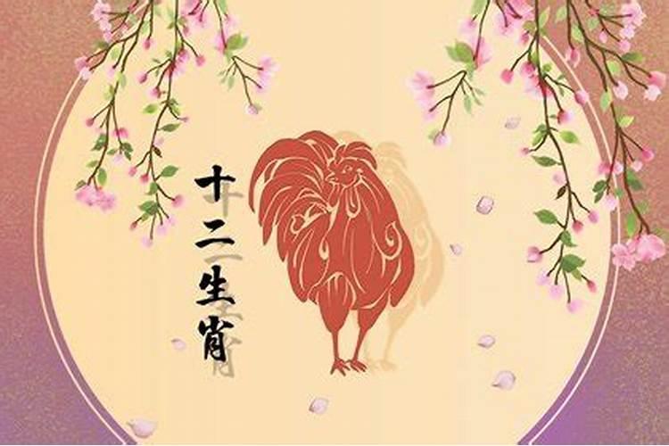 属鸡今年运气好不好