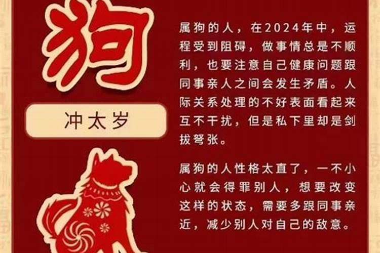 属虎的出生的年份