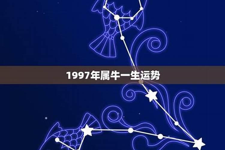 丙子年2023年运势