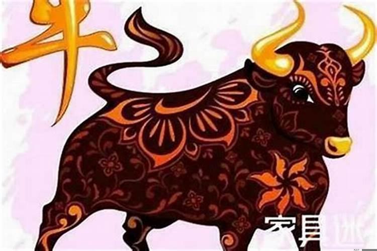 属龙今年犯太岁怎么破