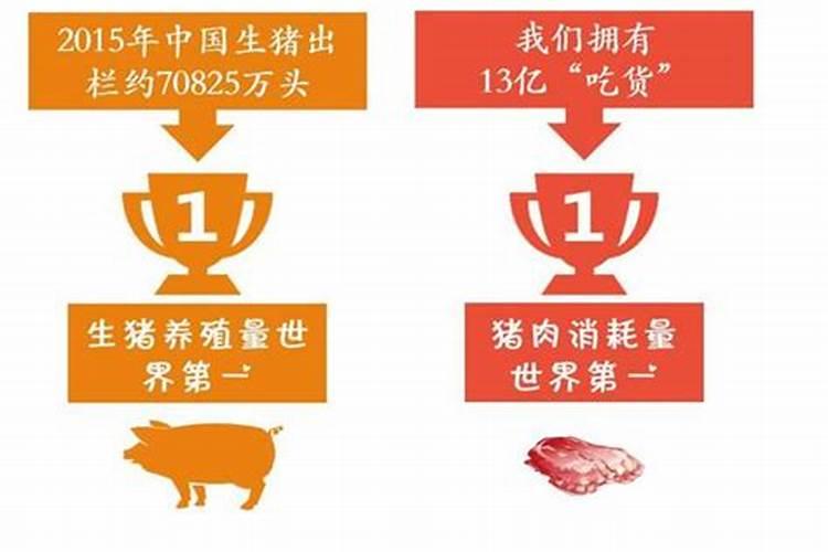 什么生肖是吃肉的