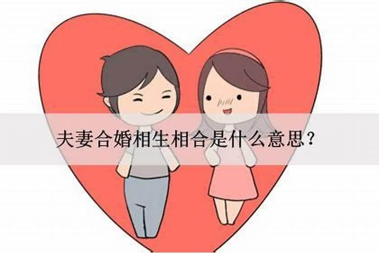 女人梦见死去爷爷赶着羊