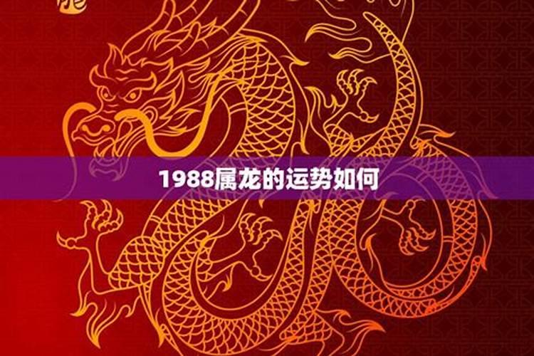 1988年属龙阴历六月二十七财运