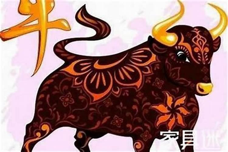 魔羯座今年的运势