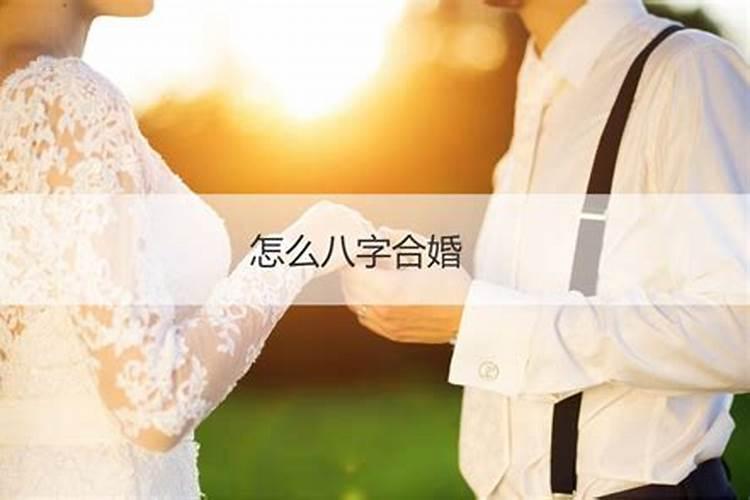 请问高人属龙的2023年运程如何