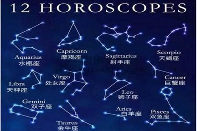 星座谁的情商最高