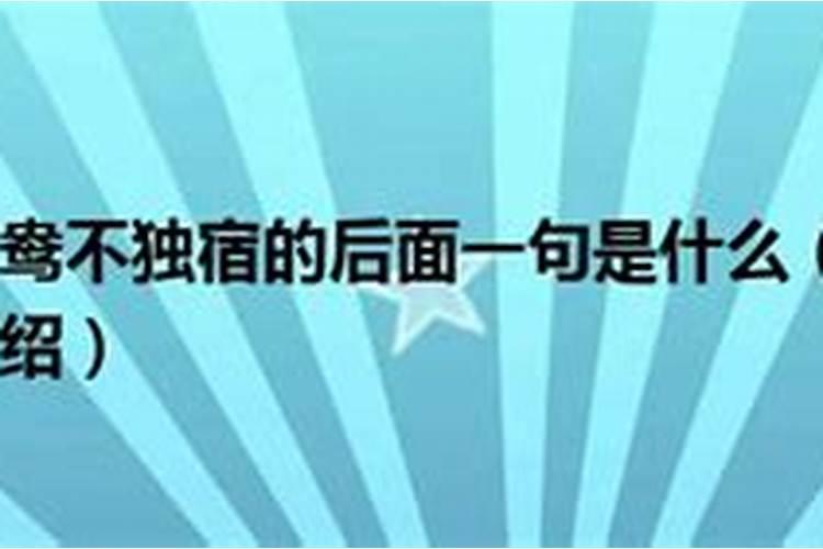 生肖男女配对男女生肖配对详解