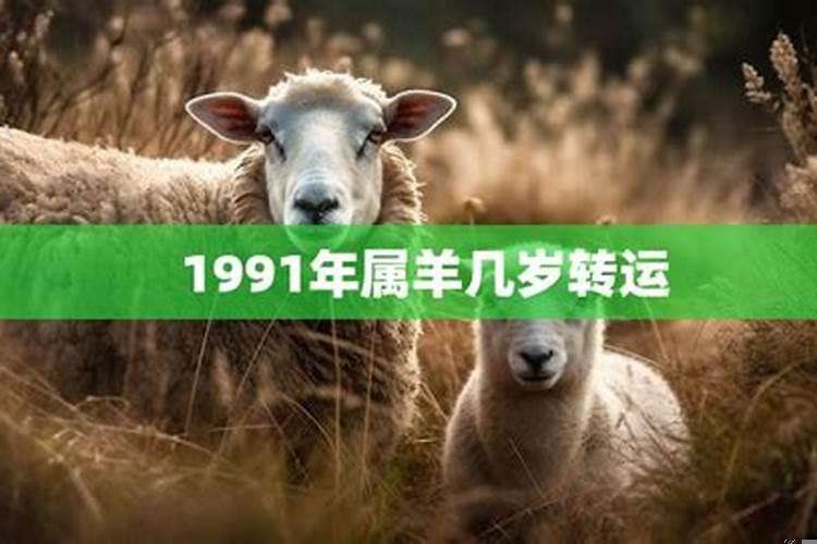 2020年属羊是多少岁