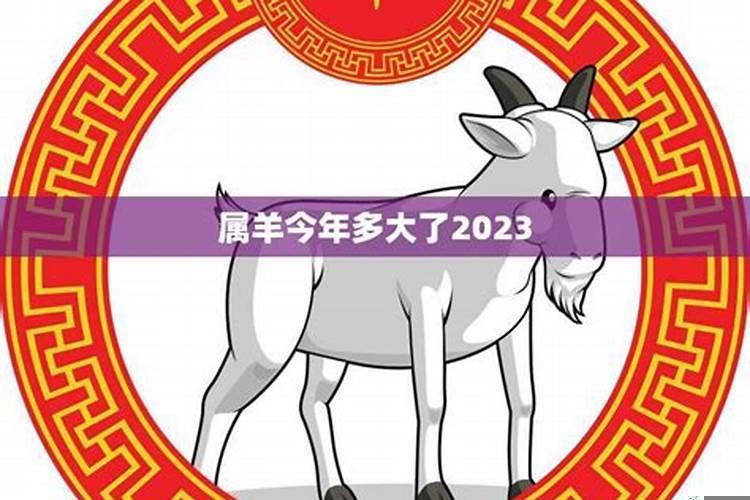 属相羊今年多大了2020