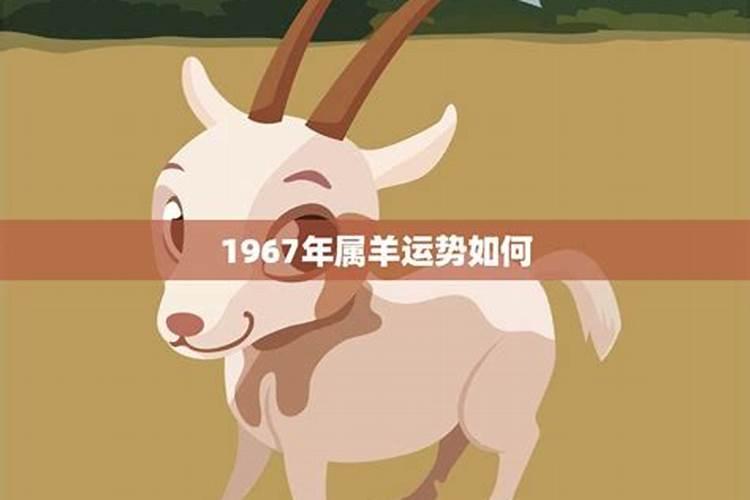 1967年属羊2023年运势及运程详解