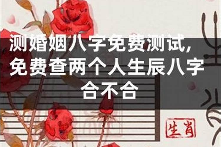 查两个人生辰八字合不合