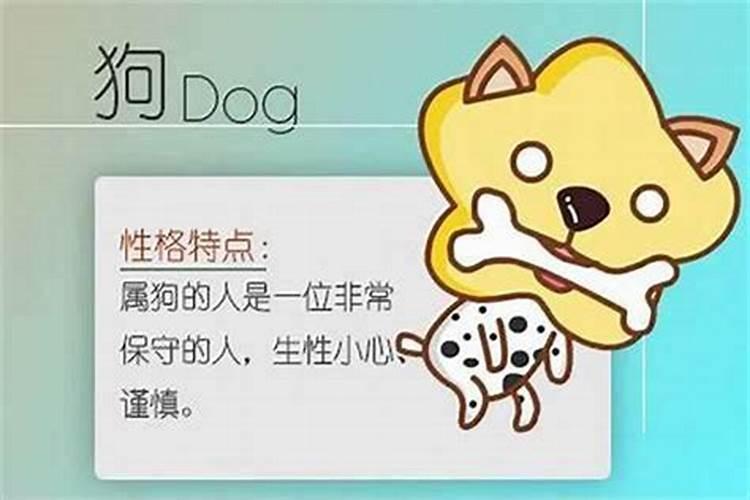 属狗和属猴的合不合