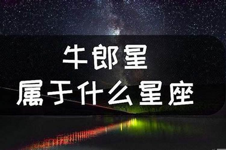 早出晚归是哪个生肖