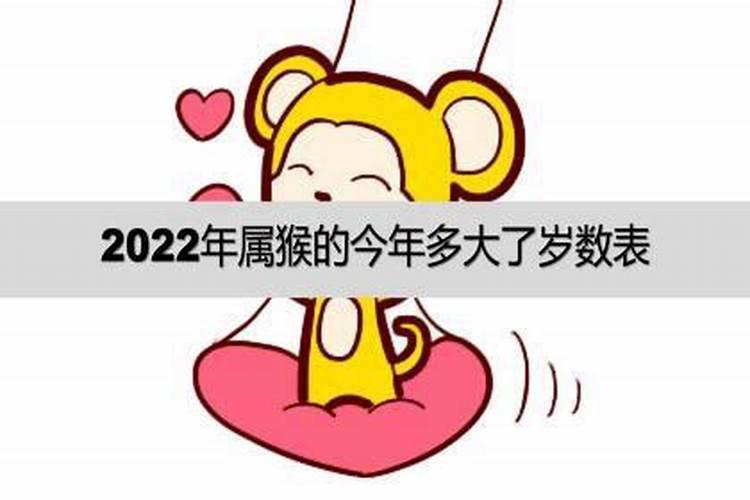 属猴今年多大年龄2022