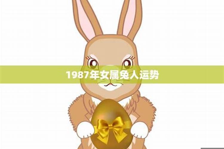 1987年兔子2023年的运势如何