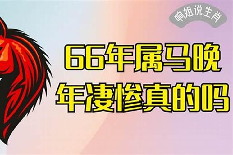 66年属马的人今年怎么样呢