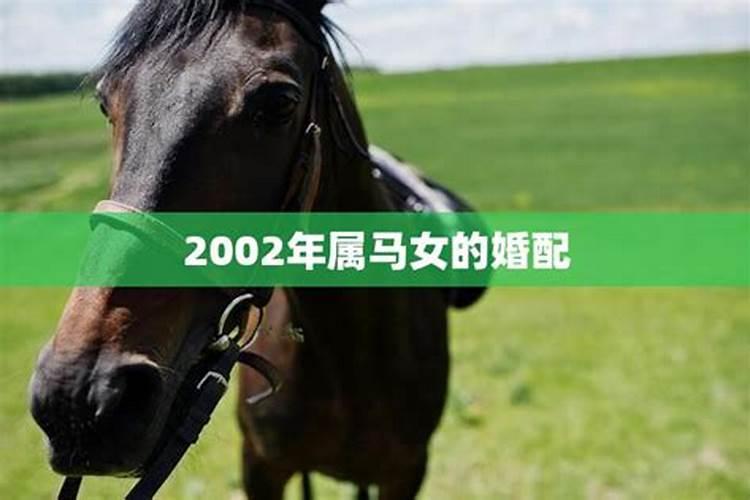 2002年属马的今年多少岁