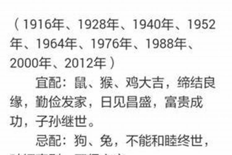 22岁属什么生肖属相婚配好