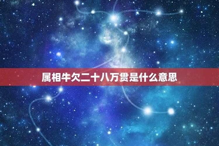 农历26日属什么星座