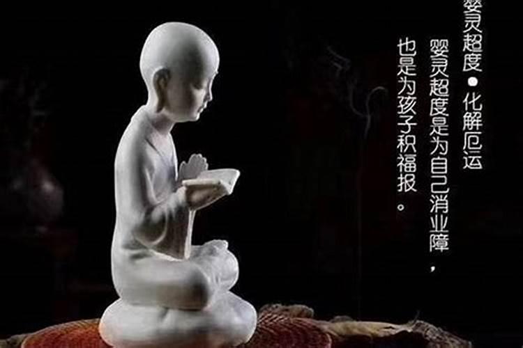 属蛇的人生个属牛的宝宝