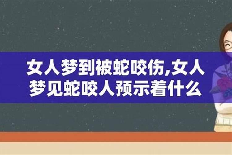 女人梦见蛇被蛇咬是什么意思